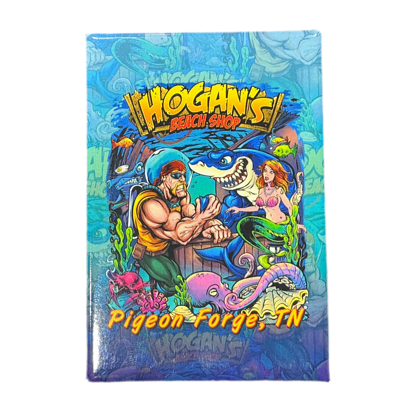 Flat Magnet Dive Bar