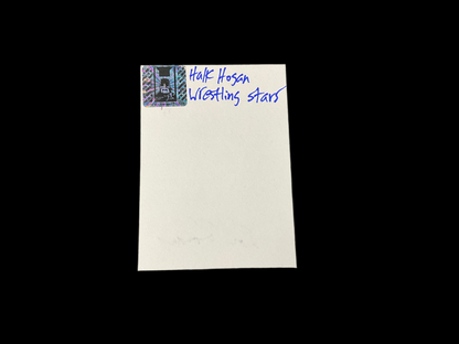 Hulk Hogan and Cindy Lauper Wrestling Stars