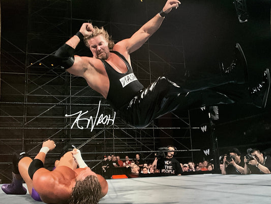 Kevin Nash Signed Elbow Triple H 16x20 Poster