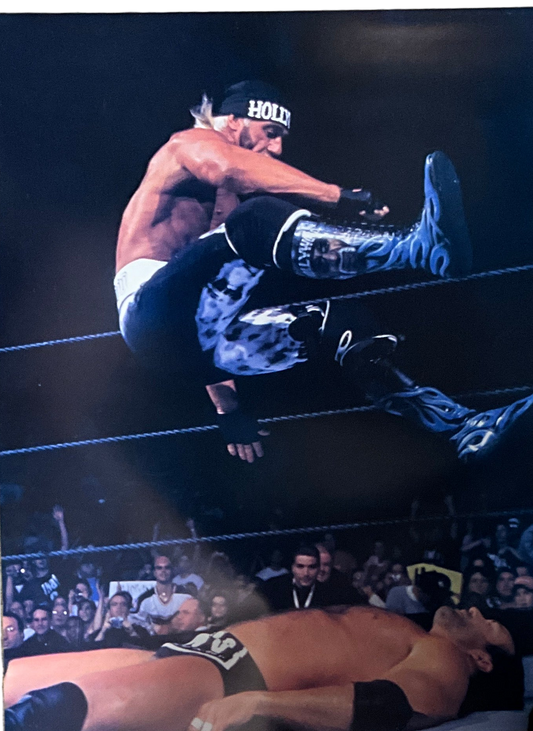 Hollywood Hogan Scott Hall Leg Drop 18x24 Unsigned Poster