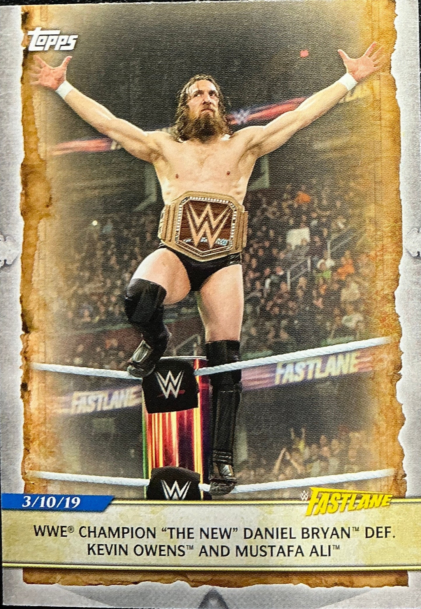 Daniel Bryan Fastlane #93 Trading Card