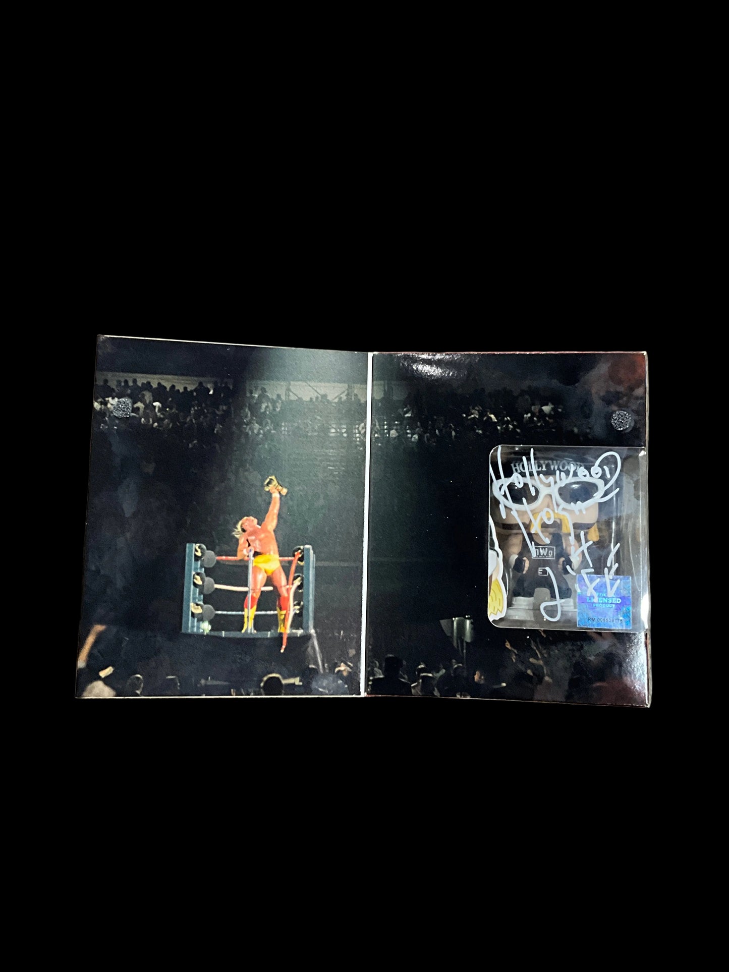 Hulk Hogan Autographed PS4 Hollywood Hogan