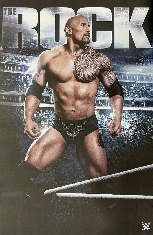 The Rock 24x36 Canvas