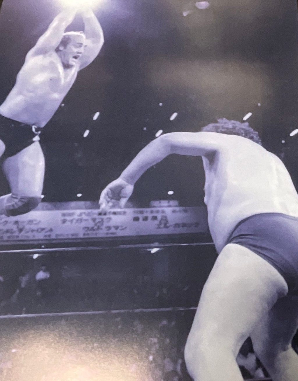 Black & White Hogan Andre Rope Jump 16x20 Unsigned Poster