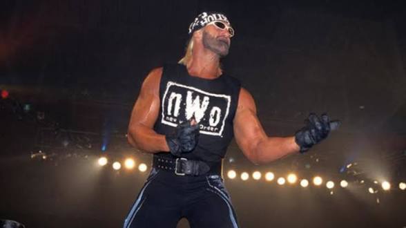 NWO Hollywood Hogan Guitar Pose 16x20 Unsigned Poster