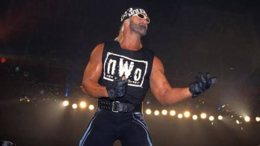 NWO Hollywood Hogan Guitar Pose 16x20 Unsigned Poster