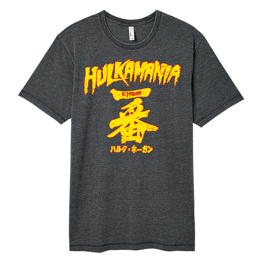 Gray Ichiban Adult T-Shirt
