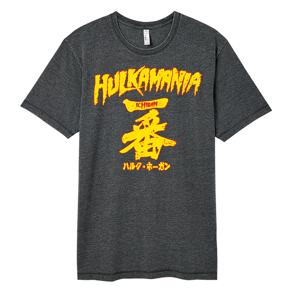 Gray Ichiban Adult T-Shirt