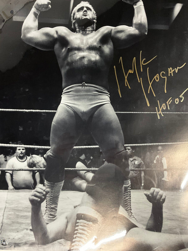 Hulk Hogan HOF 05 18x24 Poster Vertical