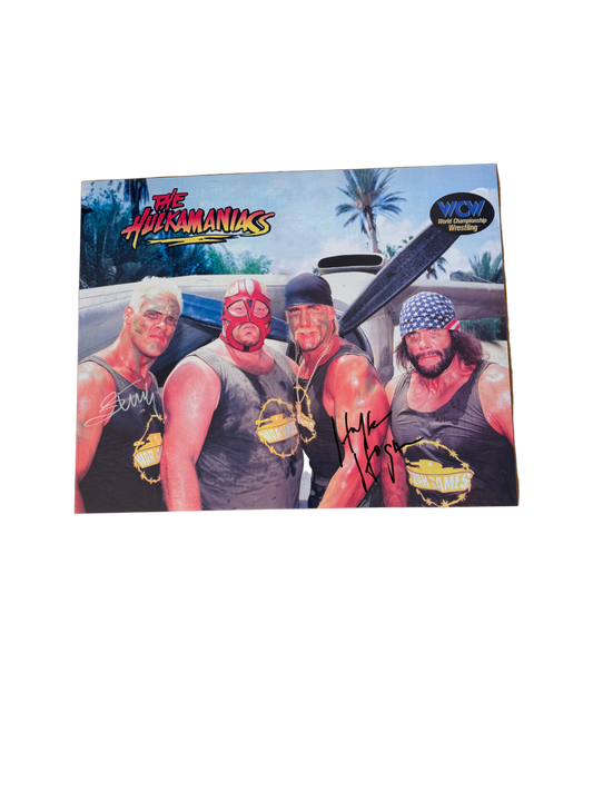 Hulkamaniacs War Games Hulk & Sting Autographed 16x20 Poster