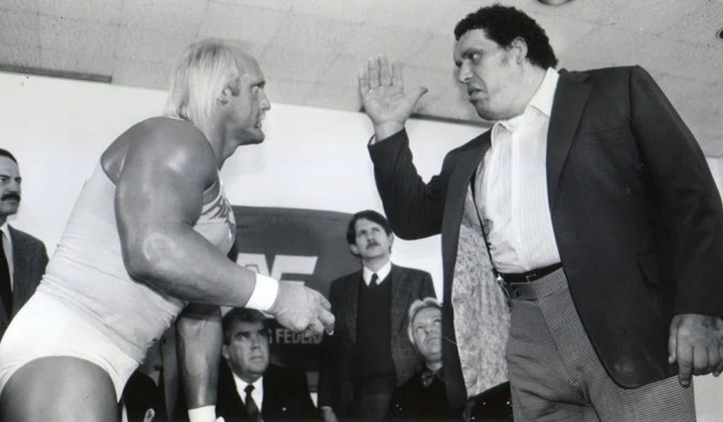 Black & White Hulk Hogan And Andre The Giant Hand 18x24 Unsigned Poster