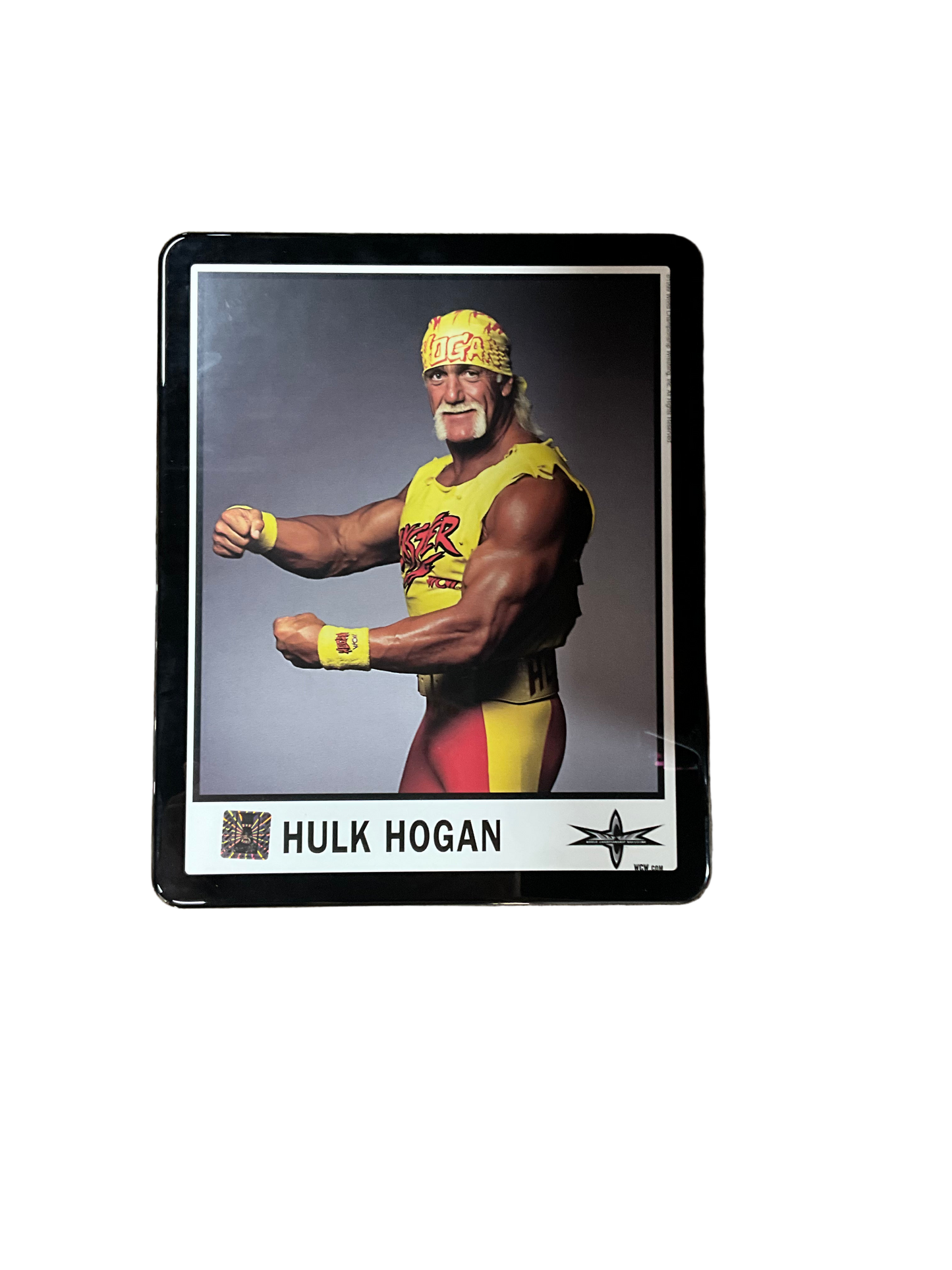 Original WCW Hulkster 8x10 Photo