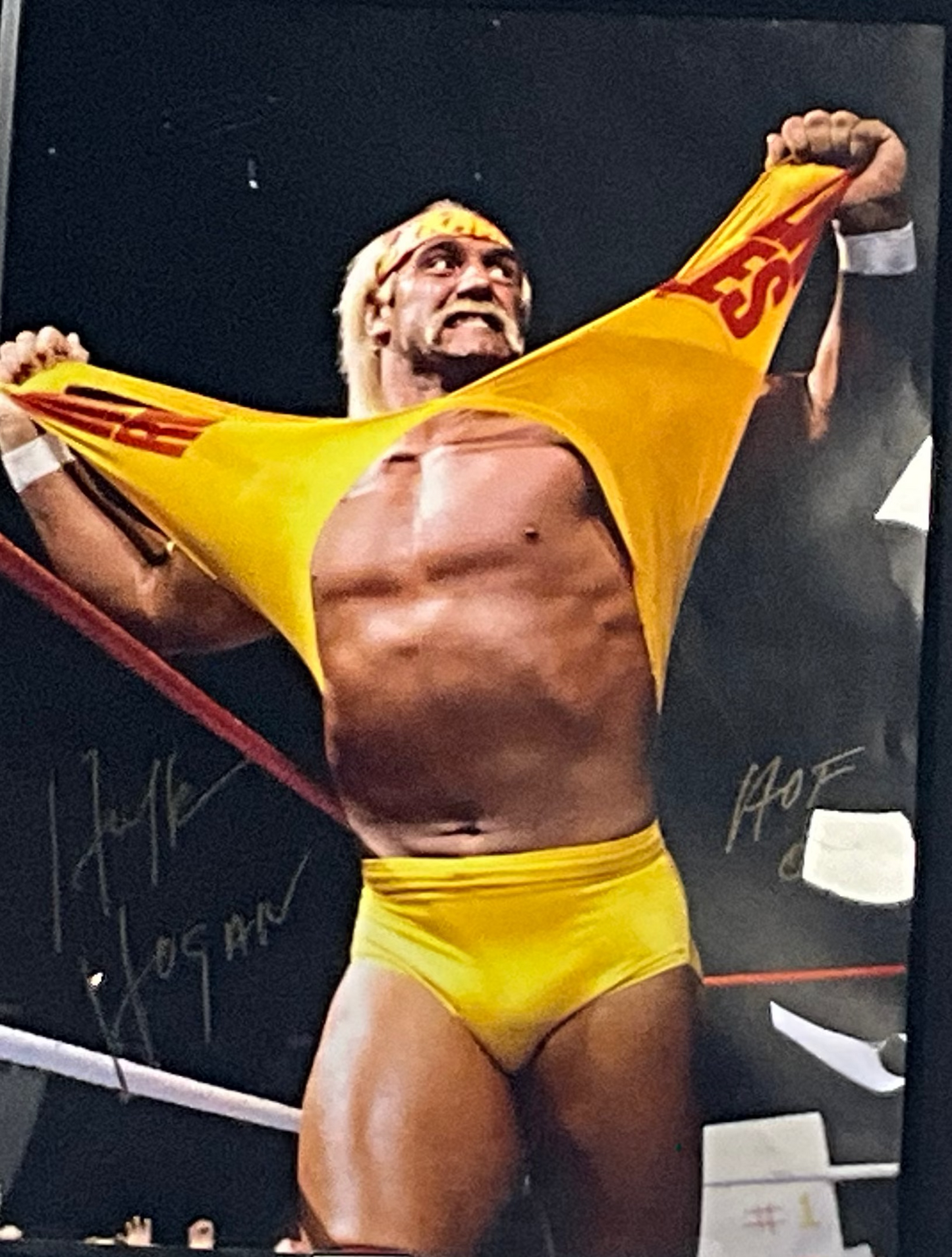 Shirt Rip Hulk Hogan Signed 16x20