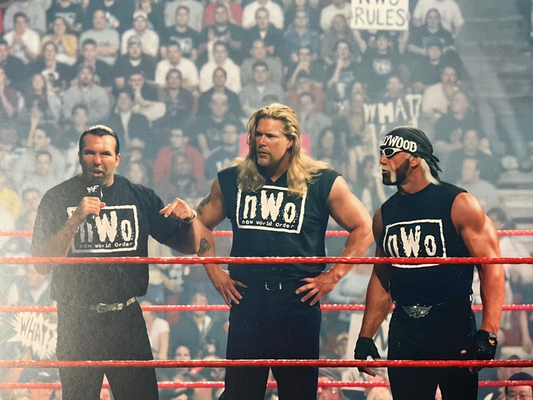 Hollywood Hogan Group Unsigned 8x10 Photo