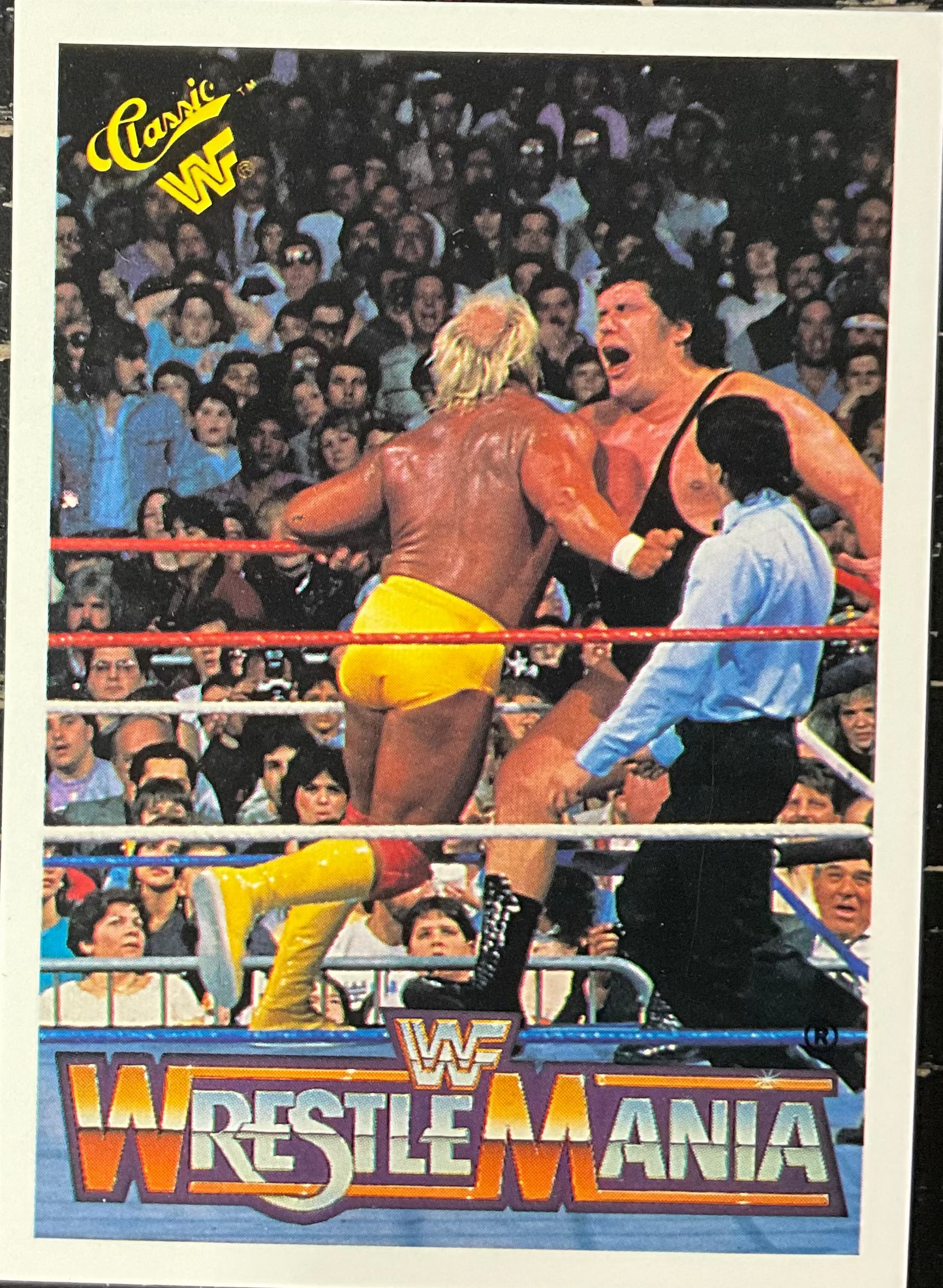 WWF Classic Trading Card # 39