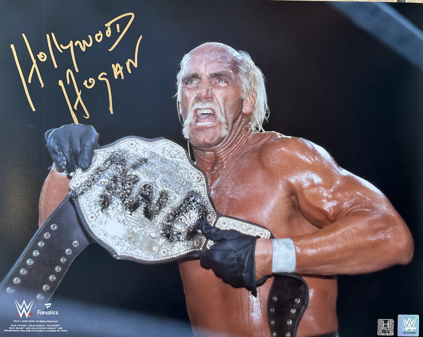 WWE Fanatics Hollywood Hulk Hogan nWo Signed 16x20 Poster
