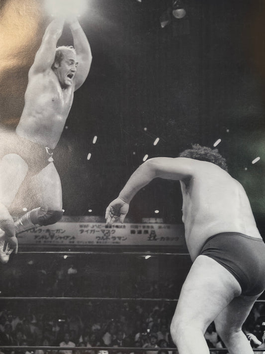 Black/White Japan Hogan Andre Flying Unsigned 18x24 Poster