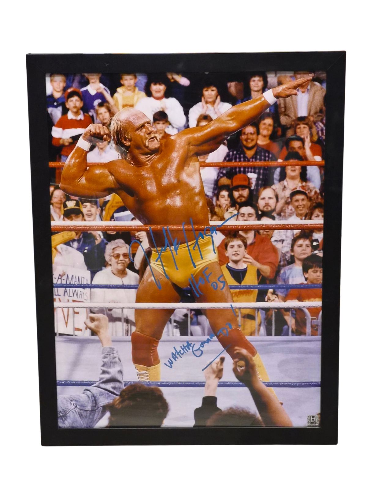 Hulk Bow n Arrow Signed 18x24 Poster