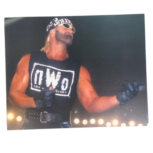 NWO Hollywood Hogan Guitar Pose Zoomed 16x20 Poster Unsigned