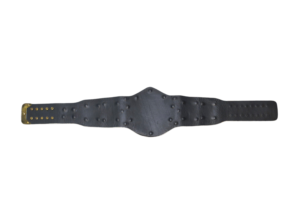 Signed White Winged Eagle Replica Title Belt