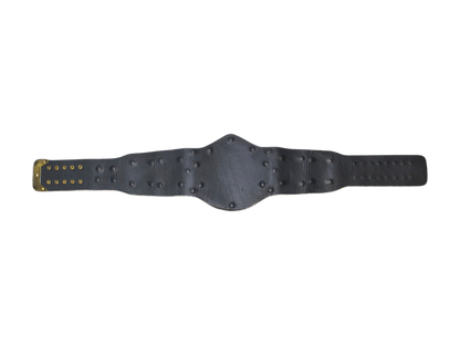 Signed White Winged Eagle Replica Title Belt