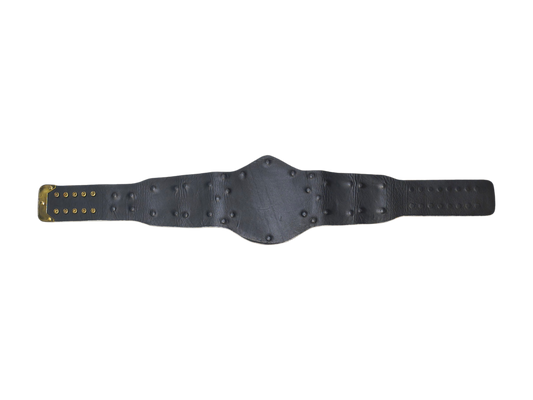 Signed White Winged Eagle Replica Title Belt