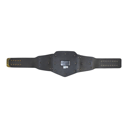 WWE Undisputed Championship Replica Title Belt