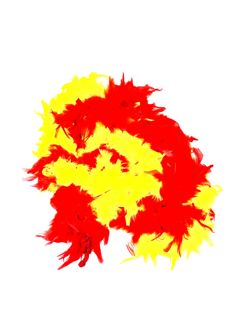 Red and Yellow Feather Costume Boa