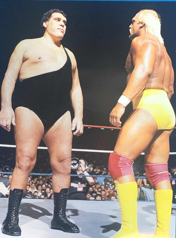 Wrestlemania 3 Hogan & Andre Poster 18x24