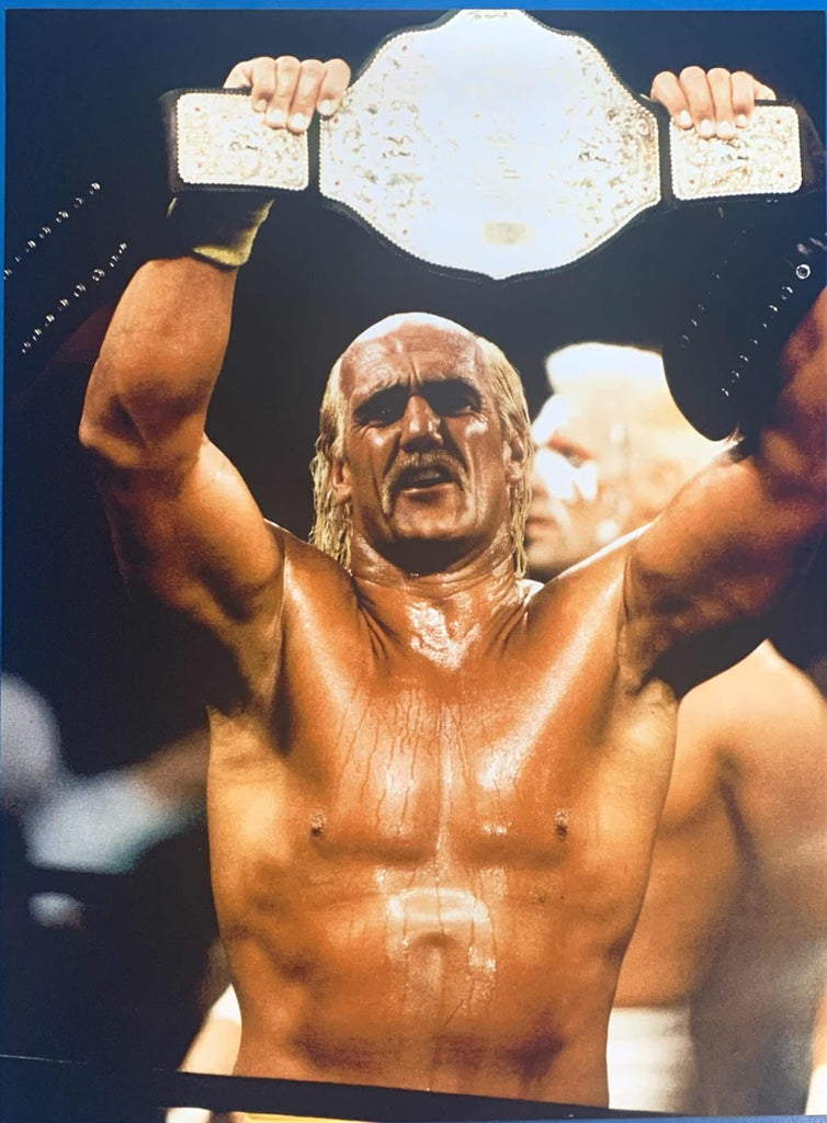 Hogan WCW Champion 18x24 Poster