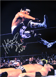 Hulk Hogan Signed Hollywood Hogan Leg Drop Poster