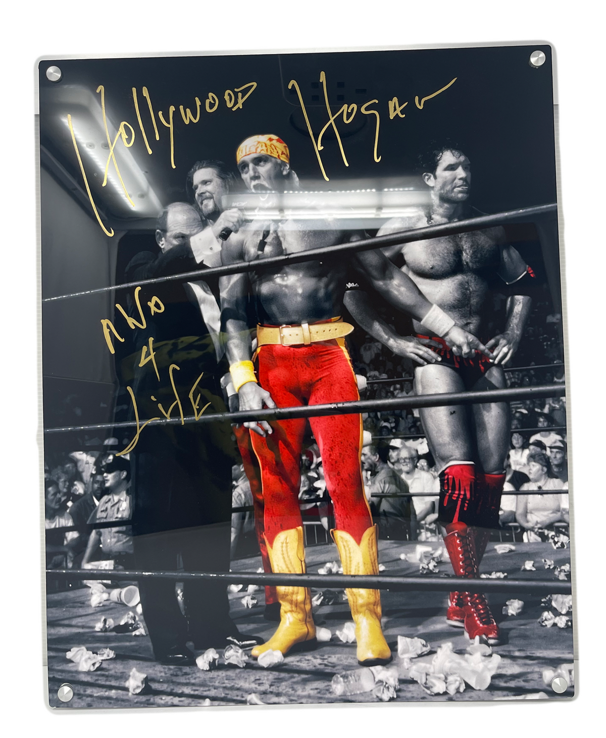 Hulk Hogan Spotlight Plaques signed