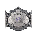 Undertaker 30 Years Signature Series Championship Title